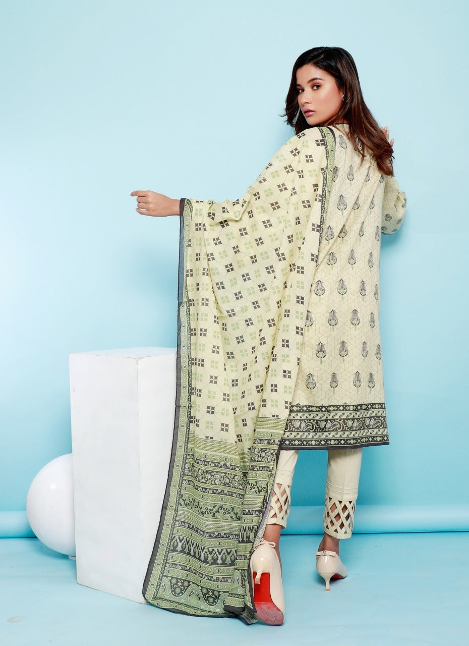 ACE 11021 (S20) Unstitched Printed Lawn 2 Piece